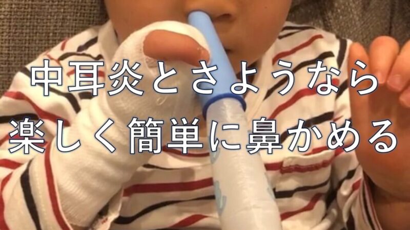 はなかめるゾウのアイキャッチ